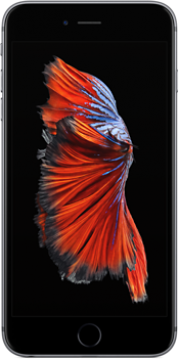 iPhone 6s Plus - 16G Quốc Tế - Mới 100%